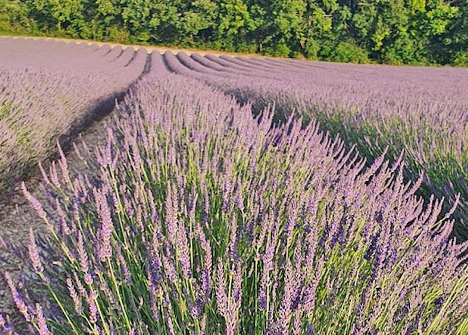 Domaine Lapeze Daire Montcuq Dış mekan fotoğraf